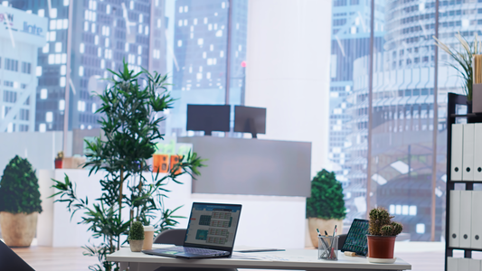 Talent acquisition workspace overlooking the Amsterdam skyline - the kind of Dutch headquarters Go Ahead HiRe places senior leaders into in the Netherlands